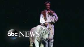 New allegations about onstage attack in Siegfried and Roy show