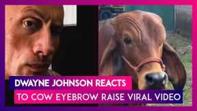Dwayne Johnson, The Rock, Reacts To Cow’s Eyebrow Raise Viral Video, Says, ‘I Wasn’t Expecting That’