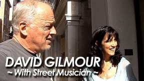 PINK FLOYD：DAVID GILMOUR 『Shine On You Crazy Diamond ~With Street Musician~』by miu JAPAN