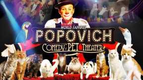 Las Vegas family show - Gregory Popovich Comedy Pet Theater