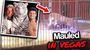 Vegas Performers Siegfried And Roy Unexpected Ending