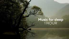 Beautiful music for sleep, meditation, study, Chill music, Calm piano, guitar