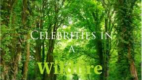 Celebrities in a Wildfire