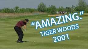 Tiger Woods holes incredible shot from fairway in 2001