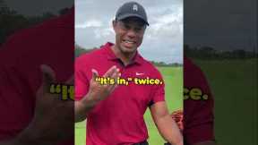 Tiger Wood's Greatest Ever Shot #shorts