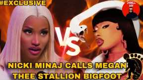 Nicki Minaj DRAGS Megan Thee Stallion! 👀😨 #nickiminaj  #megantheestallion #celebrities #hiphop