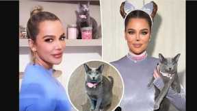 Khloé Kardashian accused of FaceTuning her cat