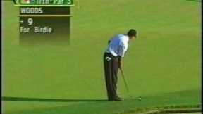 Tiger Woods impressions Golf! Hole in One