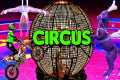 Circus Show 2023 Spectacular |