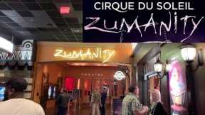 Cirque du Soleil: Zumanity (Show Review) | Las Vegas Shows