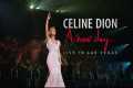 Celine Dion - A New Day (2007) DVD