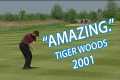 Tiger Woods holes incredible shot