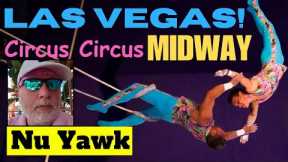 🟡 Las Vegas | Circus Circus Midway Tour! The Arcade & Circus Acts! Join Me For A Walk & A Free Show!