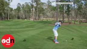 A brave boy hits a hole-in-one in front of Tiger Woods