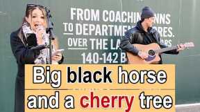 Leeds STREET PERFORMERS Sing Black Horse and a Cherry Tree LIVE!   #leeds #buskers #music