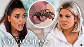 Khloé Kardashian Helps Kim Kardashian Get Over Her Fear of Spiders | KUWTK | E!