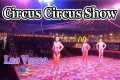 LAS VEGAS CIRCUS CIRCUS SHOW