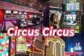 circus circus las vegas hotel casino