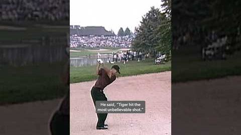 Is this Tiger's BEST shot ever? 🐅