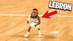 I Made LeBron TINY