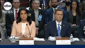 Senator grills Gabbard on Signal chat leaks: ‘Show the texts now’