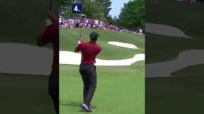 Which Tiger Woods shot is BEST?? 🤷‍♂️
