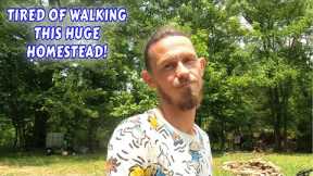 I'M TIRED OF WALKING MY 13 AC OFFGRID HOMESTEAD | couple builds tiny house  homesteading off-grid |