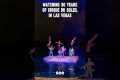2 DAYS TO WATCH all Cirque du Soleil