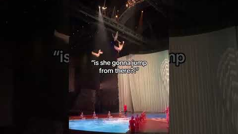 the Cirque du Soleil 