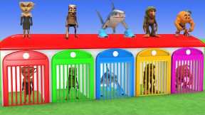 Long Slide Game With Elephant Gorilla Buffalo Hippopotamus Tiger 3d Animal Game Funny 3d Animals