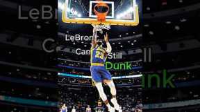 LeBron can still dunk 🗣️🔥 #number23 #jellyhouse #lebron #remix #newsong