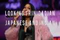 Flawless Remix - Nicki Minaj (Verse - 
