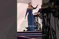 Adele Defends Fans Against Security