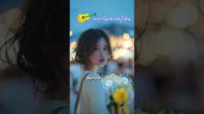 #ขอให้เธอกลับมาใกล้ฉัน | ดอกไม้เธออยู่ไหน - นารินะ