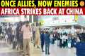 Africa Strikes Back at China! Large