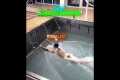 Ronaldo's Swimming Ability Over Time