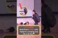 CUTE MOMENT: Selena Gomez helpless