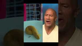 The Rock Meme
