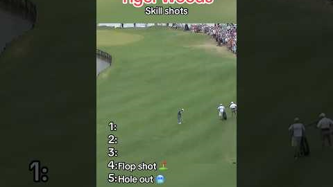 Top 5 Tiger Woods golf shots - Number 5 holeout from long