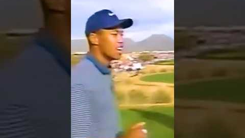 Tiger Woods Hole In One⛳️🏌️ #golf #tiger