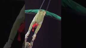 Cirque du Soleil in Vegas: A Must-See Spectacle! #shorts #vegas #travel #travelFactsandHacks