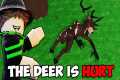 The DEER IS HURT In 99 Nights In The