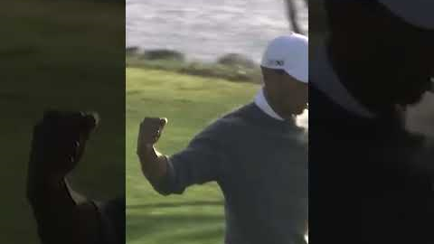 Tiger Woods:  Best Of Torrey 🔥 #pga #tigerwoods #highhandicapgolf #shorts