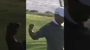 Tiger Woods:  Best Of Torrey 🔥 #pga #tigerwoods #highhandicapgolf #shorts