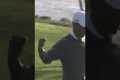 Tiger Woods:  Best Of Torrey 🔥 #pga