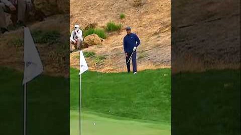 The Most Impossible Shots Ever 🐐