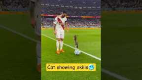 Cat showing skills to ronaldo 🥶☠️