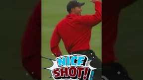Tiger Woods Best Shot! #shorts