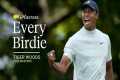 Every Tiger Woods Birdie from the
