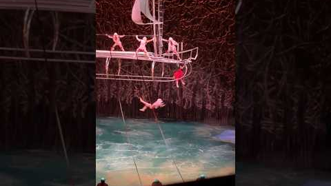 Best Show in Vegas! #cirquedusoleil #vegas #shows